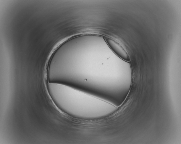 X0000112831387200908210930