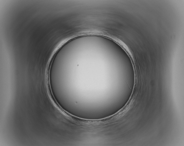 X0000112831389200908210930