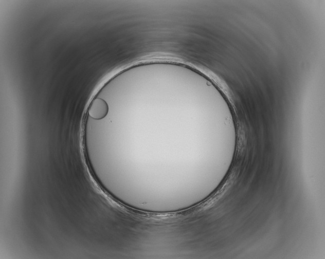 X0000112831390200908210930