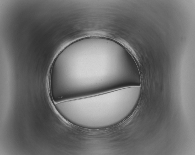 X0000112831391200908210930