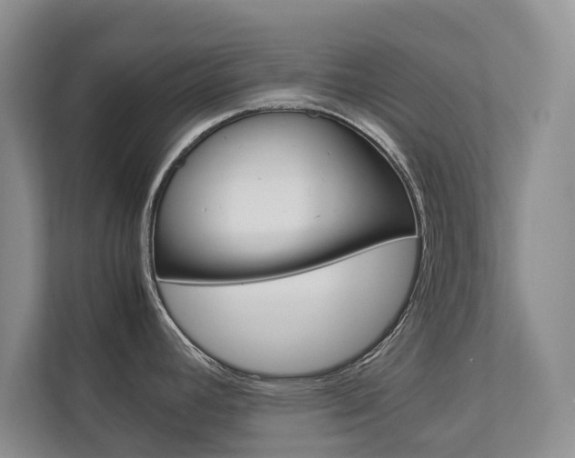 X0000112831392200908210930