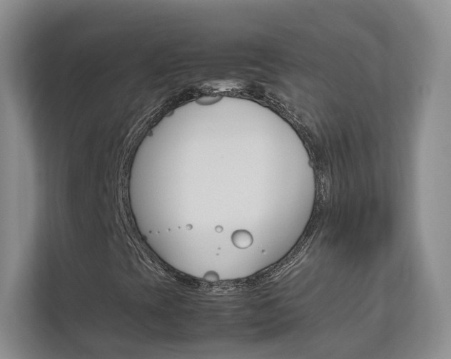 X0000112831393200908210929