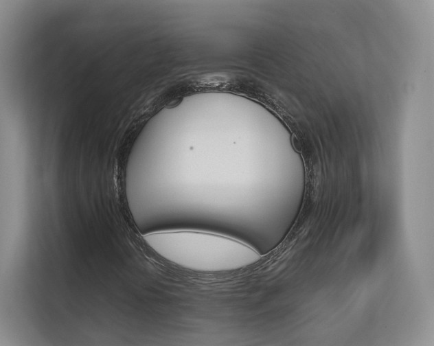 X0000112831394200908210929