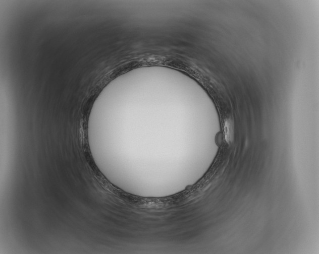 X0000112831395200908210929