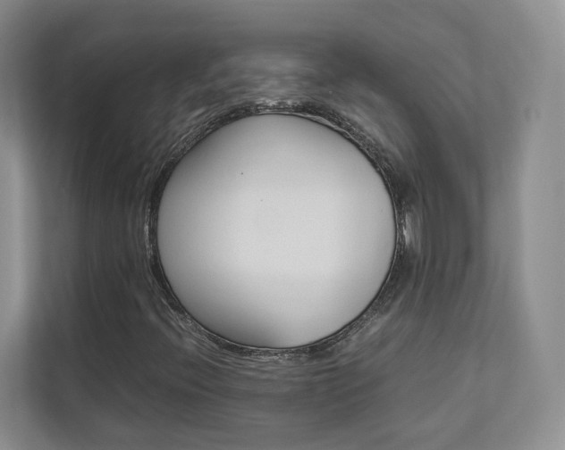 X0000112831396200908210929