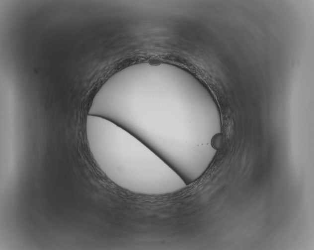 X0000112831397200908210929