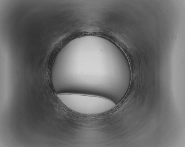 X0000112831398200908210929