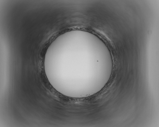 X0000112831399200908210929