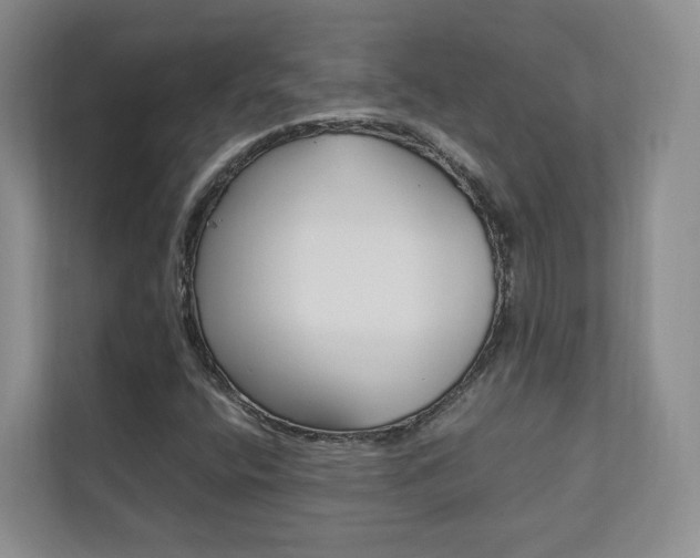 X0000112831400200908210929