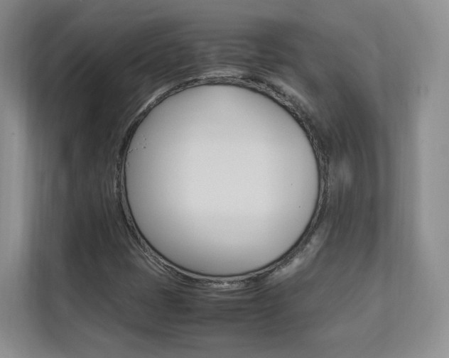 X0000112831401200908210929
