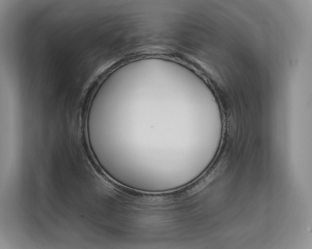 X0000112831402200908210929