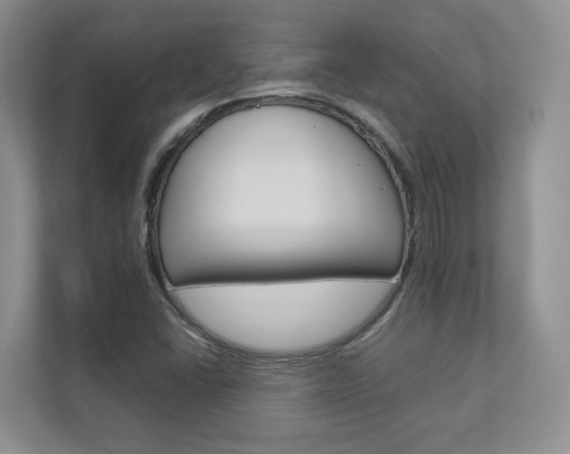 X0000112831406200908210929