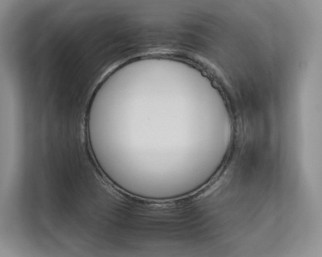 X0000112831409200908210929