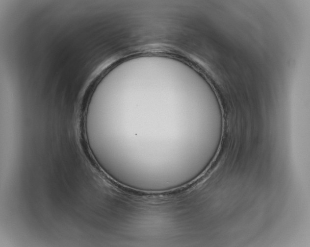 X0000112831410200908210929