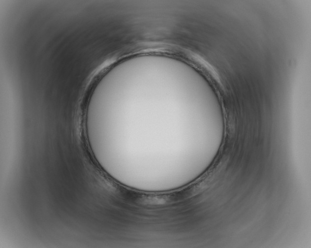 X0000112831411200908210929