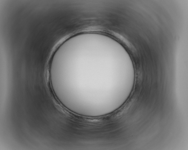 X0000112831413200908210929