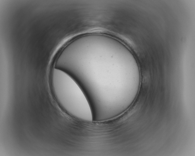 X0000112831414200908210929