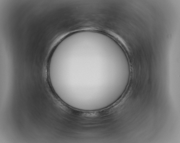 X0000112831415200908210929