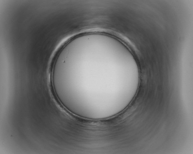 X0000112831416200908210929