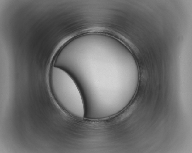 X0000112831418200908210929