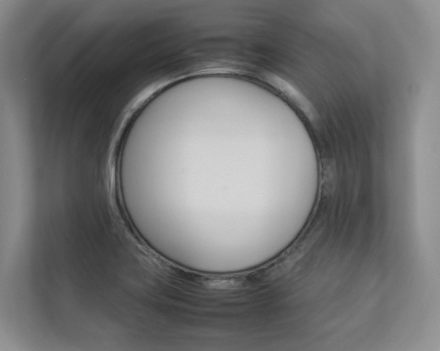 X0000112831419200908210929