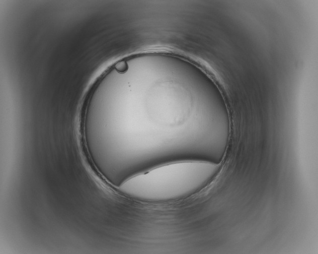 X0000112831422200908210930