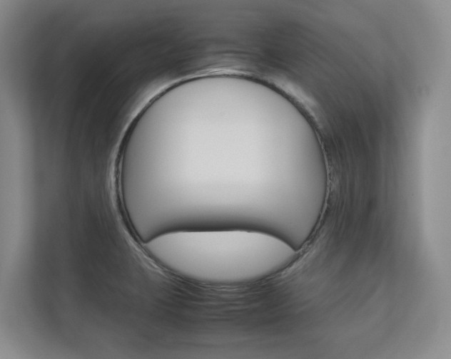 X0000112831423200908210930