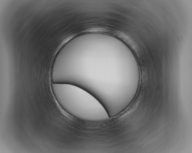 X0000112831425200908210930