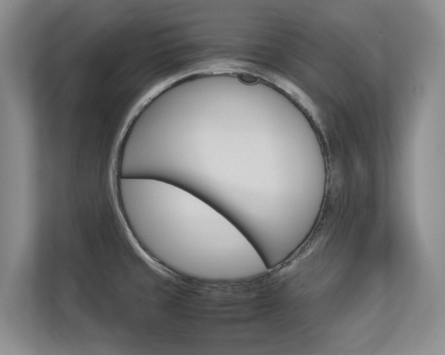 X0000112831429200908210930