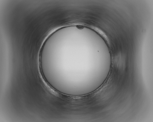 X0000112831431200908210930