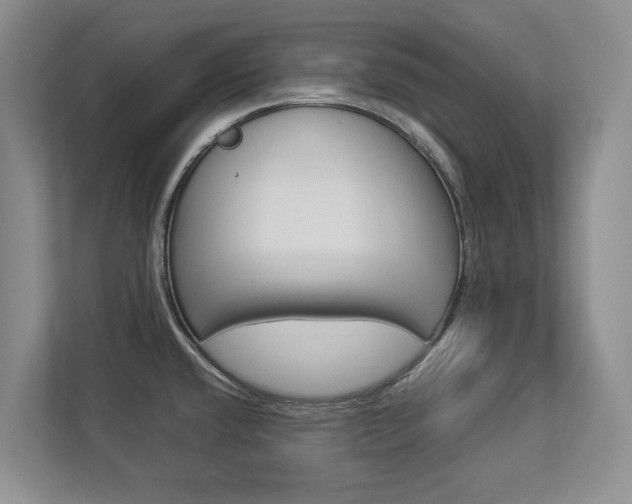X0000112831432200908210930