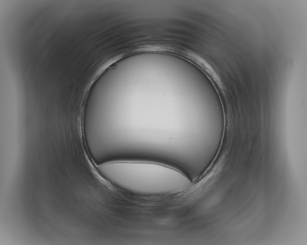 X0000112831433200908210930