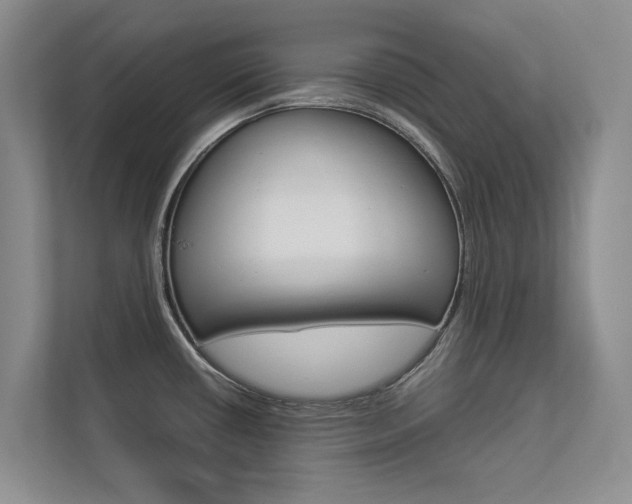 X0000112831434200908210930