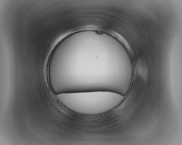 X0000112831435200908210930
