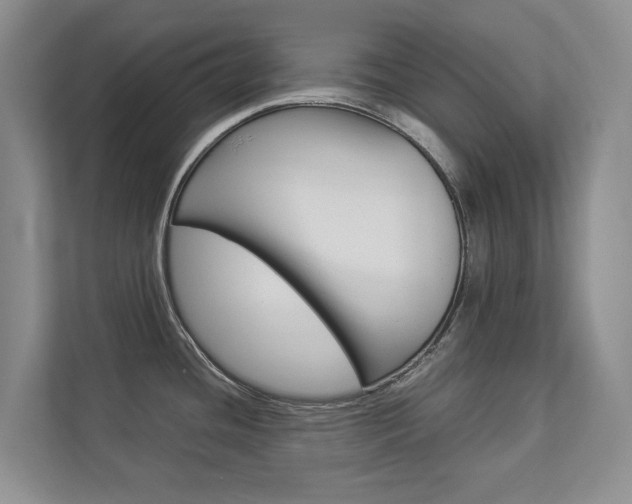 X0000112831436200908210930