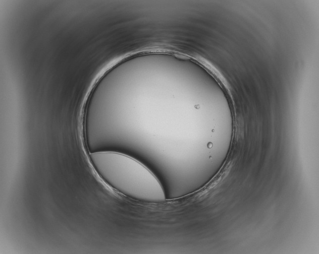 X0000112831437200908210930