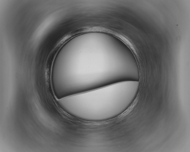 X0000112831438200908210930