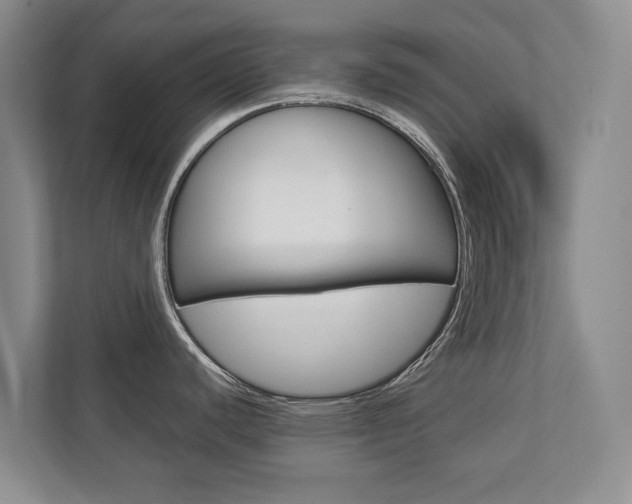 X0000112831440200908210930
