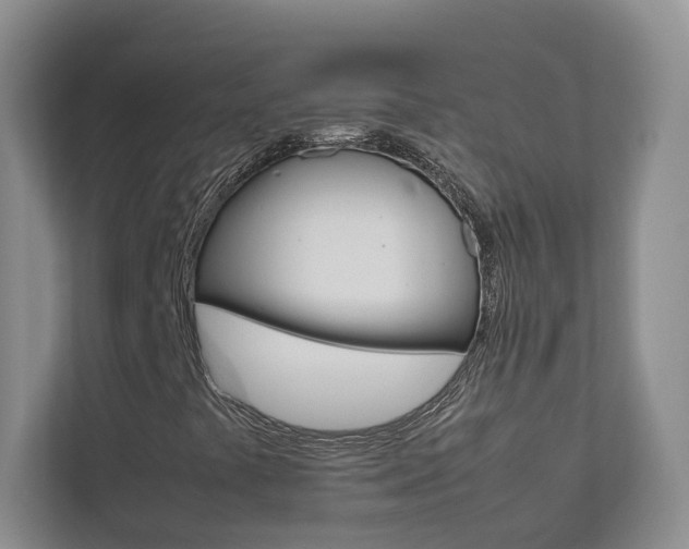 X0000112831441200908210929
