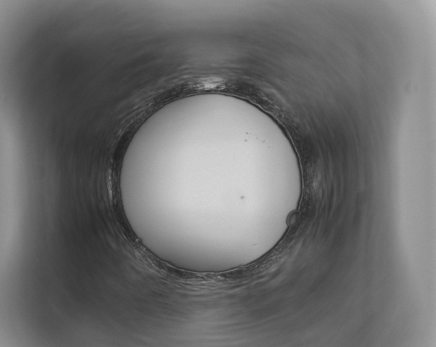X0000112831442200908210929