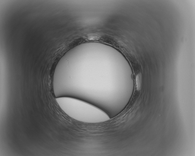 X0000112831443200908210929