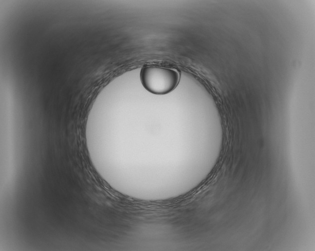 X0000112831445200908210929