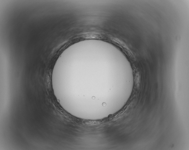 X0000112831446200908210929