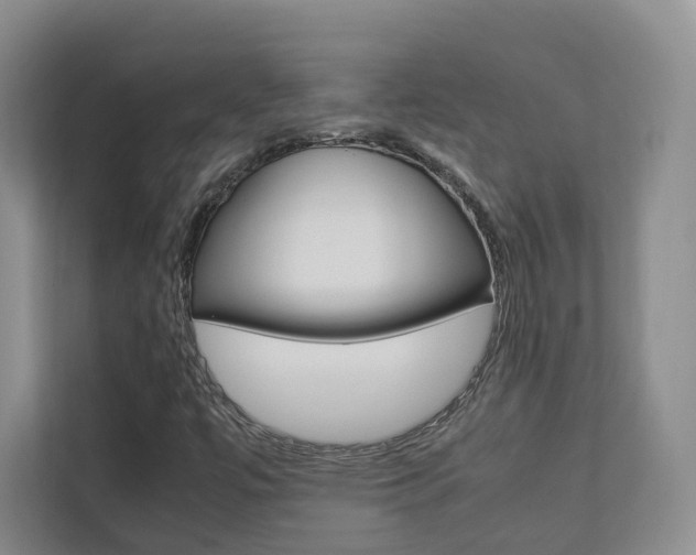 X0000112831447200908210929