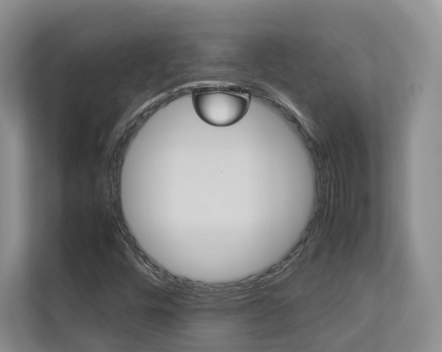 X0000112831448200908210929