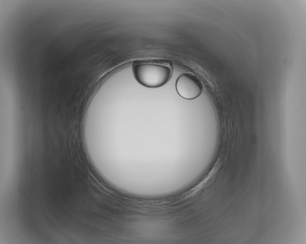 X0000112831449200908210929