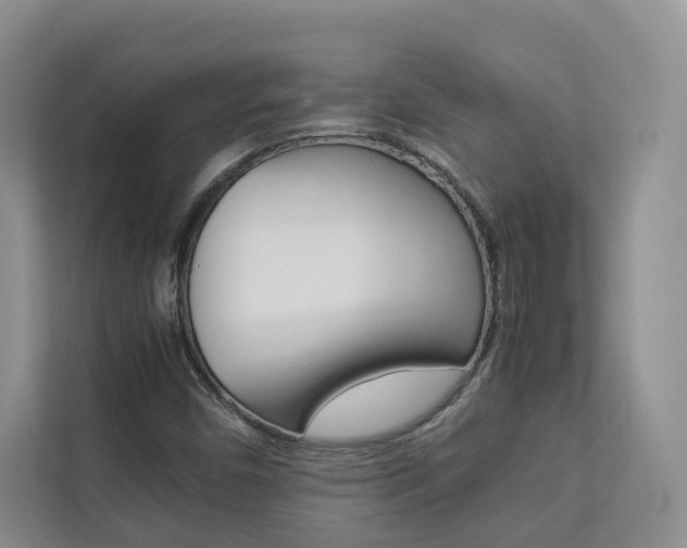 X0000112831450200908210929