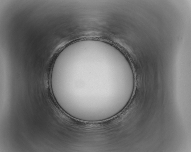 X0000112831451200908210929