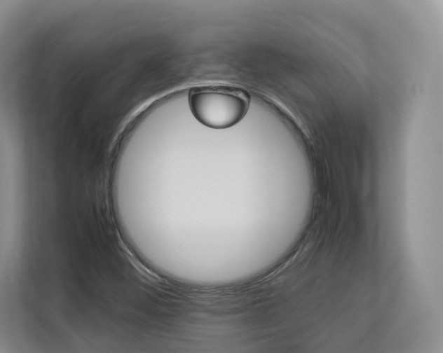 X0000112831452200908210929