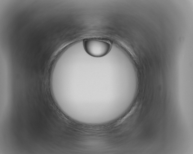 X0000112831453200908210929